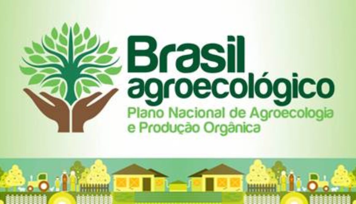 Thumbnail para Governo lança Plano Nacional de Agroecologia e Produção Orgânica