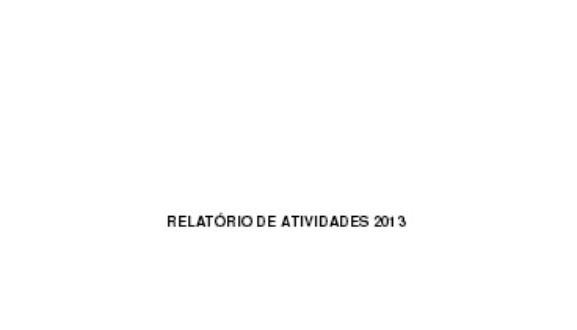 RELATORIO_ATIVIDADES_2013